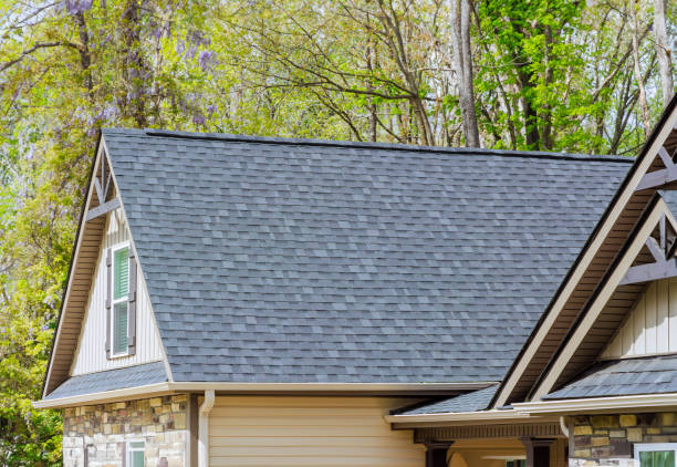 Best Chimney Flashing Repair  in Canton, MS